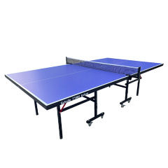 Теннисный стол для помещений Scholle TT450 Indoor в Самаре по цене 25900 ₽