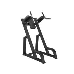 Svensson Industrial E3047 Matte Black из каталога стоек турник брусья-пресс в Самаре по цене 39950 ₽