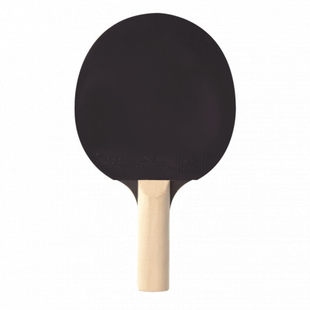 Рендер-1 для Cornilleau Sport 100