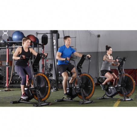 Рендер-13 для Octane Fitness Airbike AirdyneX