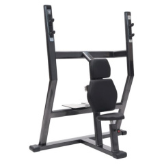 FitWorld FW-0670 жим от плеч из каталога скамей со стойкой в Самаре по цене 49300 ₽