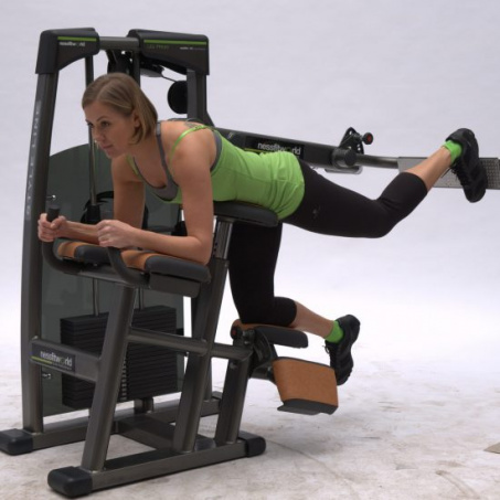 Рендер-2 для FitWorld FW-2500 Глют машина