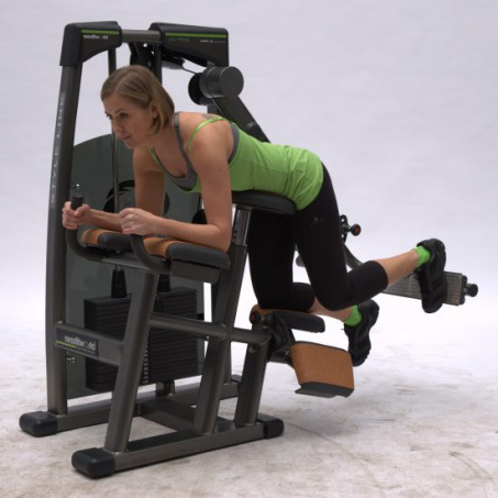 Рендер-1 для FitWorld FW-2500 Глют машина