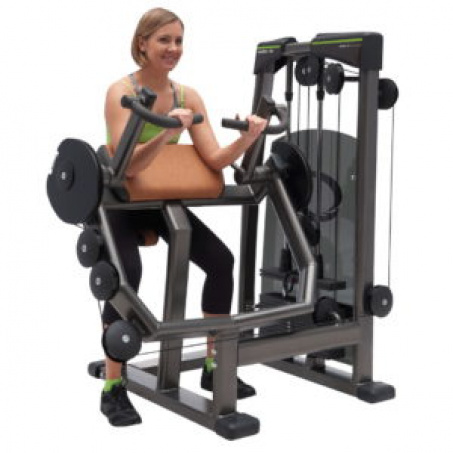 Рендер-3 для FitWorld FW-8500 Трицепс