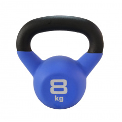 SportElite 8 кг, матовая из каталога мультистанций в Самаре по цене 3823 ₽