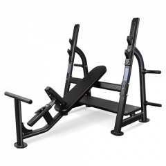 Bronze Gym BR-1014 наклонная из каталога скамей со стойкой в Самаре по цене 120990 ₽