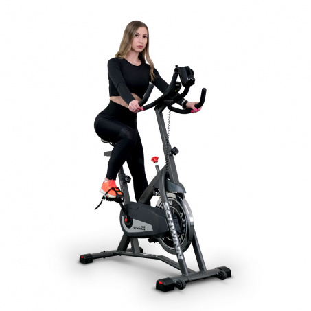 Рендер-2 для Schwinn IC2