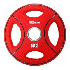 Protrain DB6092-5 (д=50 мм) из каталога дисков для штанги с посадочным диаметром 50 мм. в Самаре по цене 2660 ₽
