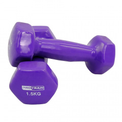 Protrain 1.5 кг. HC4005-1,5 из каталога виниловых гантелей в Самаре по цене 970 ₽