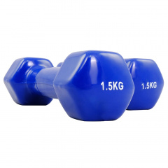 Protrain TA-2103-1,5 (пара) из каталога виниловых гантелей в Самаре по цене 1210 ₽