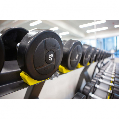 Рендер-2 для Profi Fit Power 2,5-25 кг (шаг 2,5 кг, 10 пар)