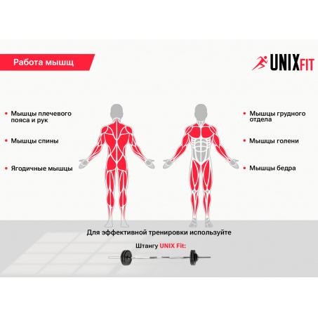 Рендер-4 для UnixFit Frame 120