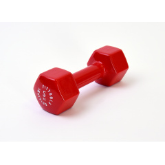 Original FitTools 5 кг (Цвет - красный) из каталога виниловых гантелей в Самаре по цене 1790 ₽