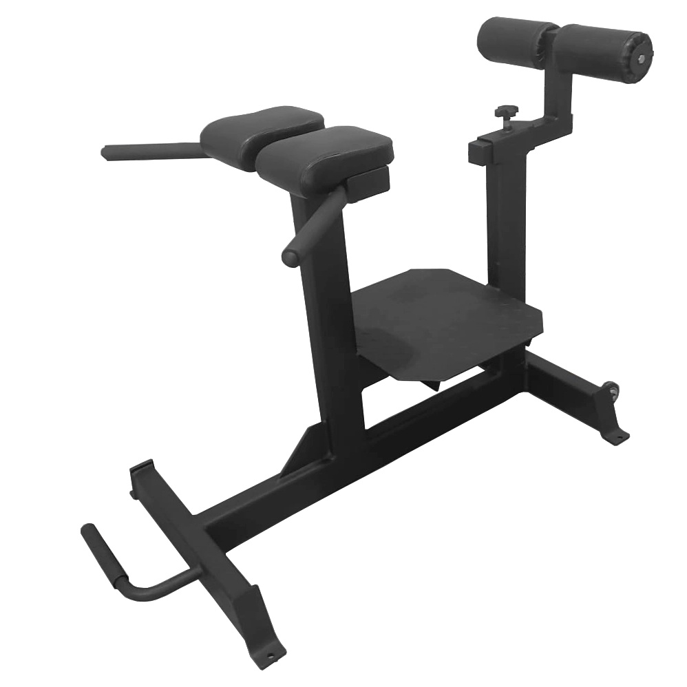 AL-920 в Самаре по цене 36990 ₽ в категории гиперэкстензии Bronze Gym