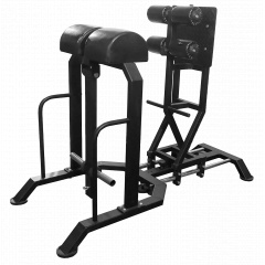 Bronze Gym GHD AL-922 комбинированная из каталога тренажеров для спины  в Самаре по цене 139990 ₽