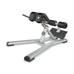 Precor Discovery Line DBR312 из каталога тренажеров для спины  в Самаре по цене 268000 ₽