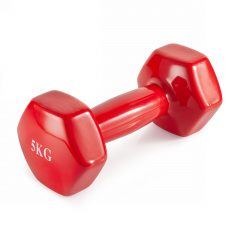 VictoryFit 5 кг. 1 шт. VF-DV050 из каталога прямых грифов для штанги в Самаре по цене 1640 ₽