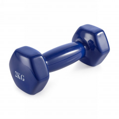 VictoryFit 2 кг. 1 шт. VF-DV020 из каталога виниловых гантелей в Самаре по цене 660 ₽