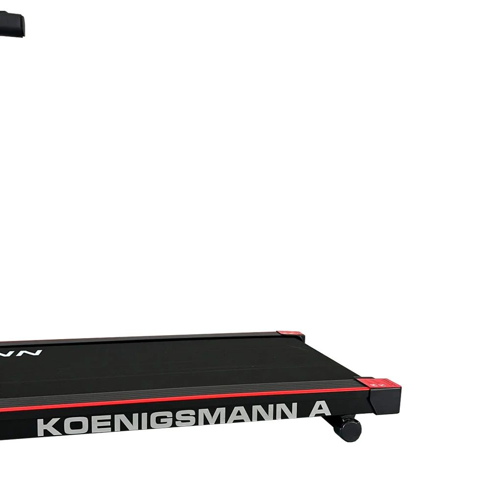 Koenigsmann A макс. вес пользователя, кг - 100