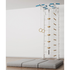 BarFits New Age RJ Premium line из каталога металлических шведских стенок в Самаре по цене 51900 ₽