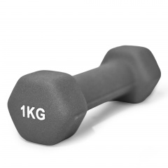 UnixFit 1 кг Grey DBNEO1GY из каталога неопреновых  гантелей в Самаре по цене 510 ₽