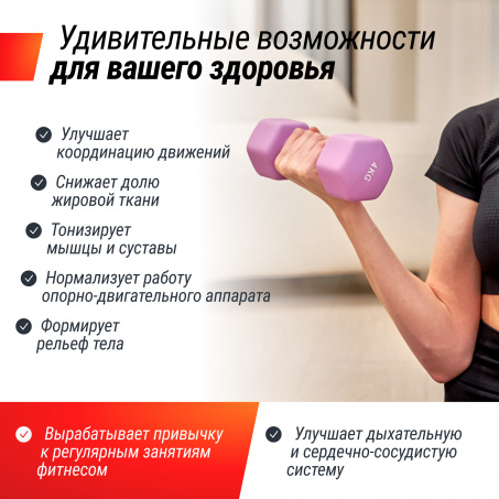 Рендер-4 для UnixFit 4 кг Violet DBNEO4VT