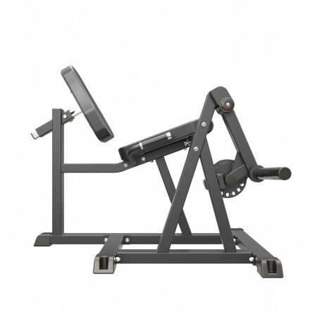 Рендер-2 для AeroFit IFP1605 разгибание ног сидя