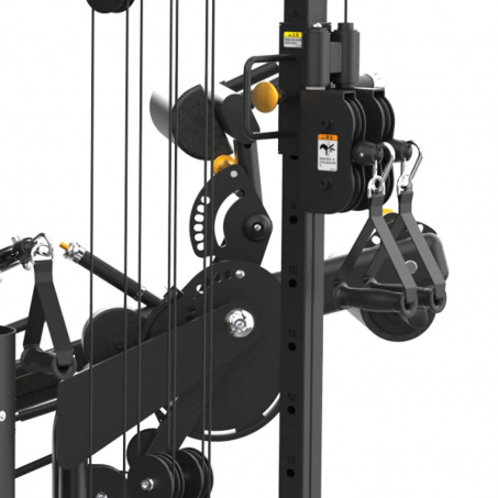 Рендер-3 для Bronze Gym Evolve TriZone