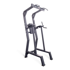 Protrain HC5019 из каталога стоек турник брусья-пресс в Самаре по цене 94520 ₽