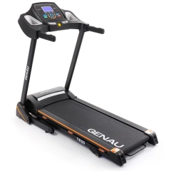 TR50 в Самаре по цене 41620 ₽ в категории беговые дорожки Genau