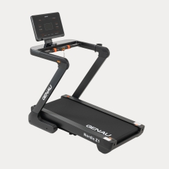 Nordic Z1 в Самаре по цене 95920 ₽ в категории беговые дорожки Genau
