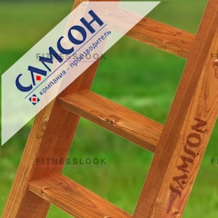 Самсон Лестница деревянная из каталога аксессуаров к игровым комплексам в Самаре по цене 3400 ₽