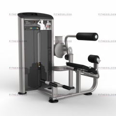AeroFit Impulse Elite IE9532 - разгибание спины из каталога грузоблочных тренажеров в Самаре по цене 187340 ₽