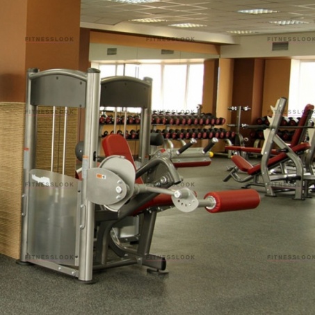 Рендер-2 для AeroFit IT9306 - сгибание ног сидя