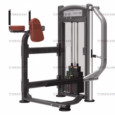 Рендер-0 для AeroFit IT9326 - ягодичные мышцы