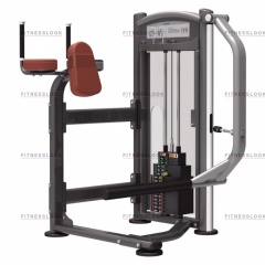 AeroFit IT9326 - ягодичные мышцы из каталога грузоблочных тренажеров в Самаре по цене 155640 ₽