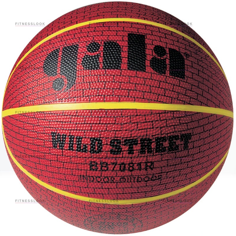 Gala Wild Street 7 из каталога баскетбольных мячей в Самаре по цене 990 ₽
