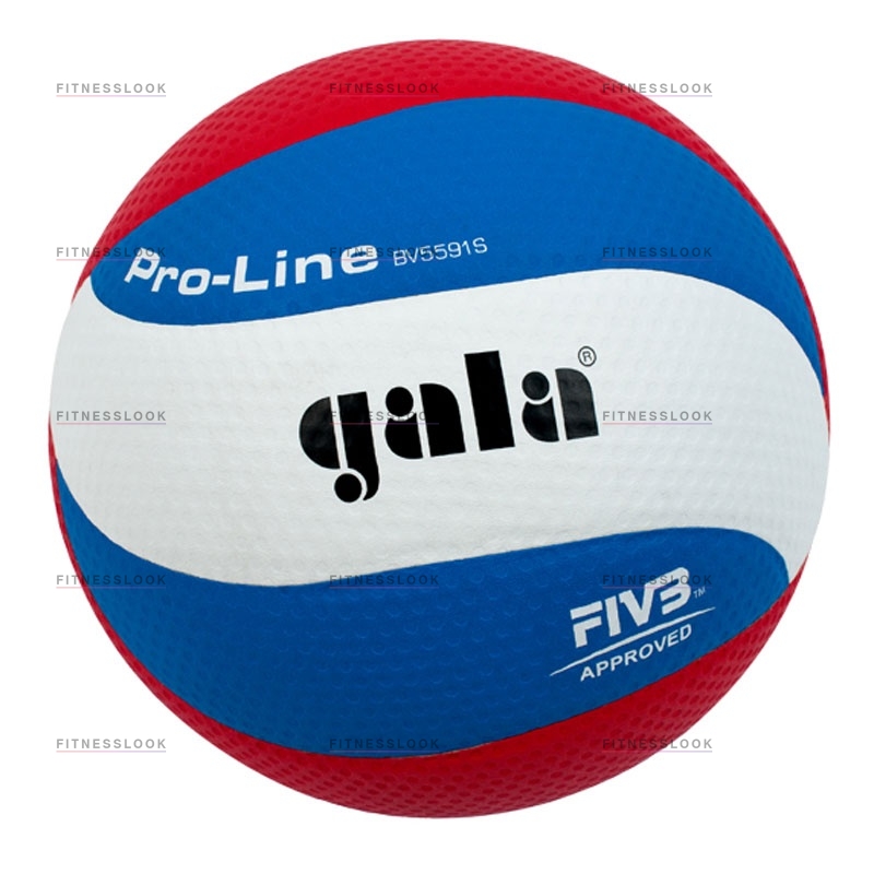 Pro-line в Самаре по цене 3030 ₽ в категории баскетбольные мячи Gala