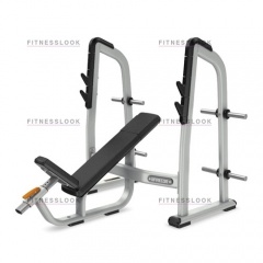 Precor DBR410 - со стойками из каталога скамей со стойкой в Самаре по цене 162470 ₽