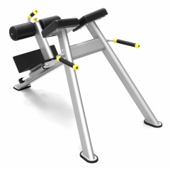 Protrain 61A43 из каталога гиперэкстензий в Самаре по цене 87100 ₽