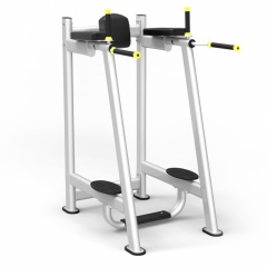 Protrain 61A45 из каталога стоек турник брусья-пресс в Самаре по цене 66220 ₽