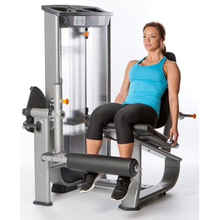 Рендер-1 для AeroFit Inotec NL5 Разгибание ног