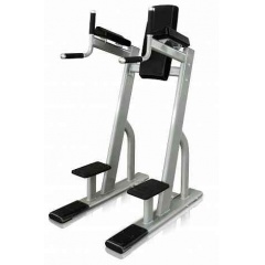 Protrain V8-301 из каталога стоек турник брусья-пресс в Самаре по цене 101750 ₽