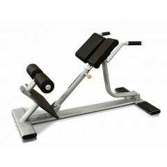 Protrain V8-303 из каталога гиперэкстензий в Самаре по цене 119700 ₽
